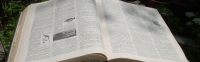 Love - According to Merriam-Webster